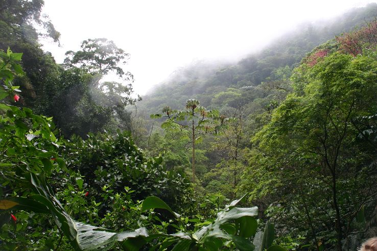 Tijuca National Park Trip Packages