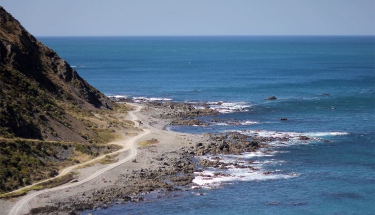 Seal Coast Safari Trip Packages