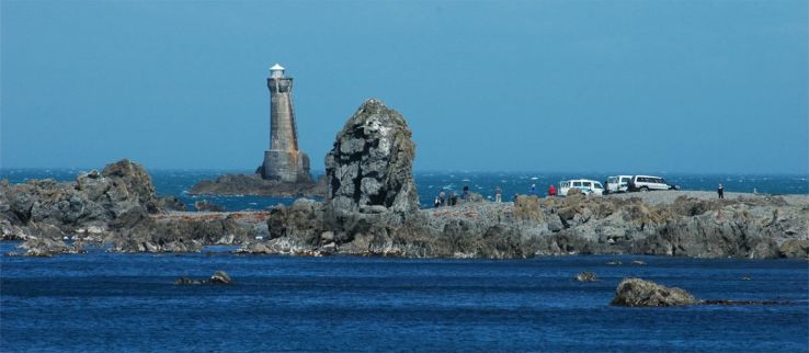 Seal Coast Safari Trip Packages