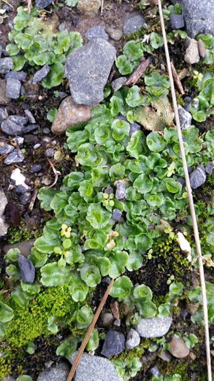 Red Rocks Trip Packages