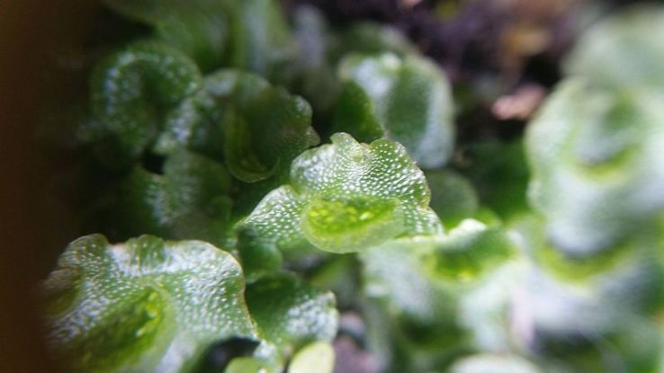 Red Rocks Trip Packages