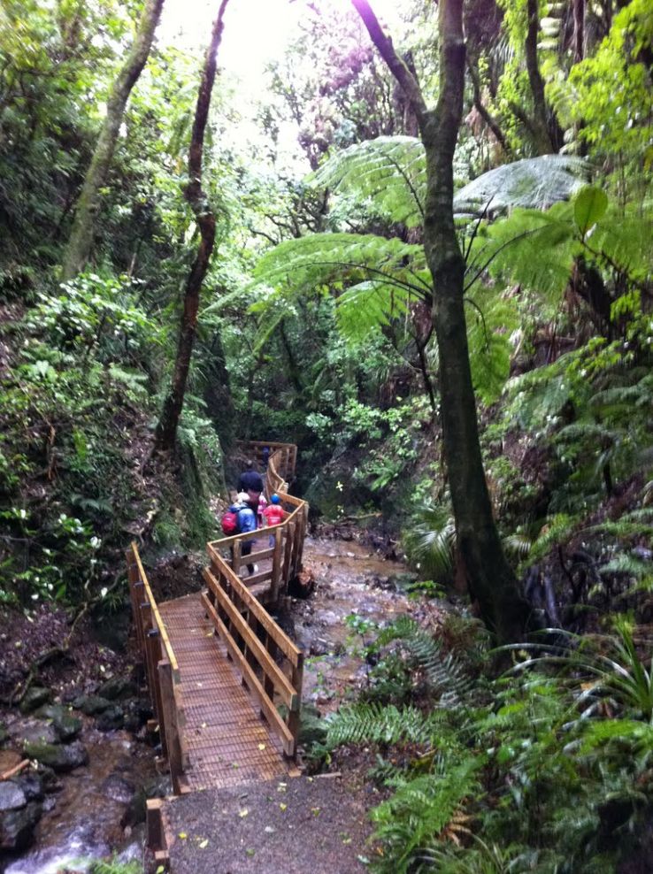 Percy Scenic Reserve Trip Packages