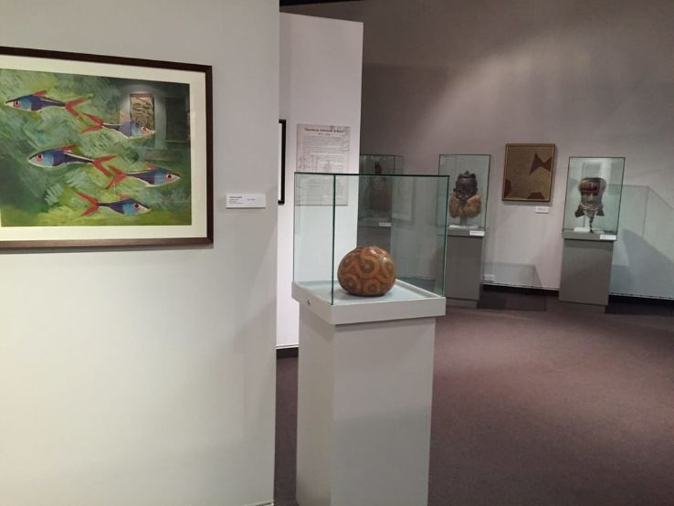 Eastern Southland Gallery Trip Packages