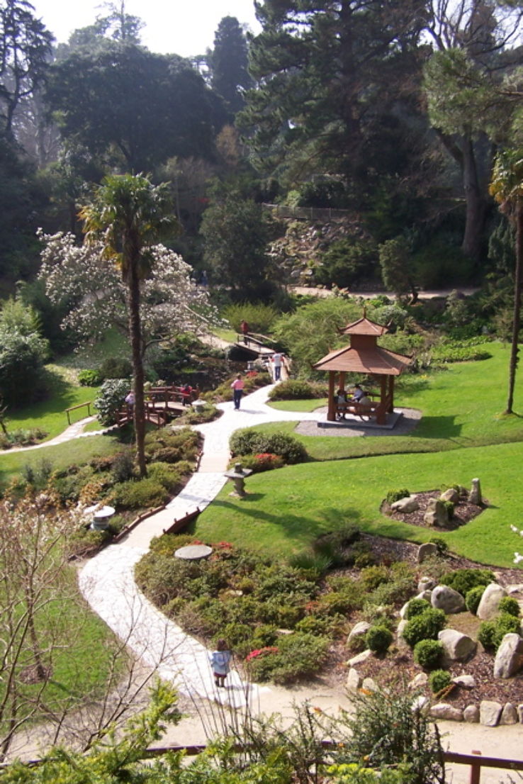 Powerscourt Gardens Trip Packages