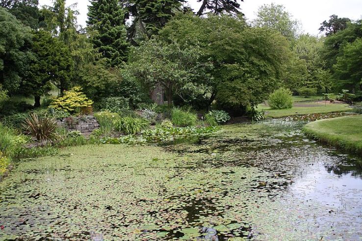 National Botanic Gardens of Ireland Trip Packages