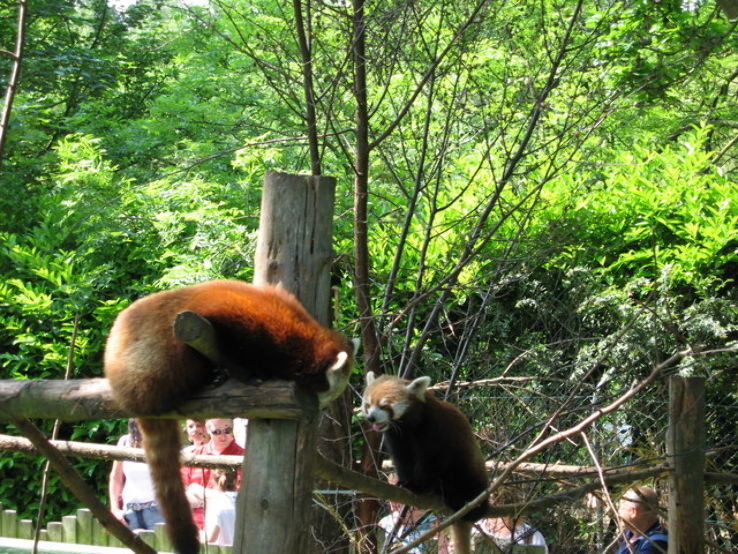 Dublin Zoo Trip Packages