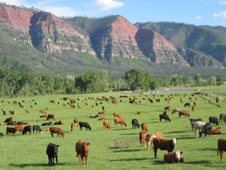 James Ranch, Durango, Colorado  Trip Packages