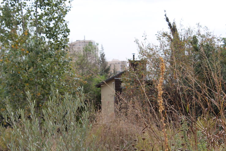 The Jerusalem Bird Observatory Trip Packages