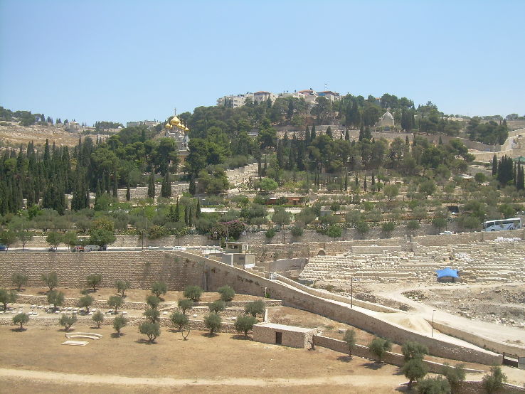 Mount of Olives  Trip Packages