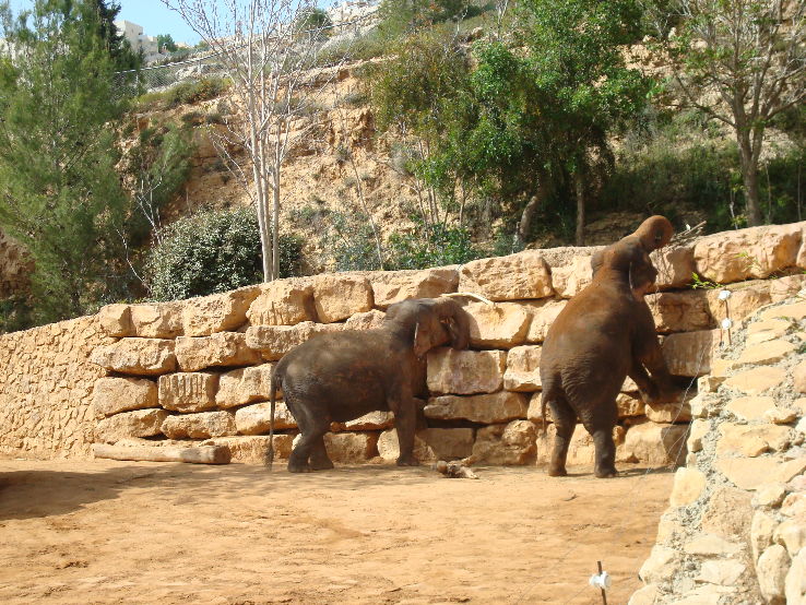 Biblical Zoo Trip Packages