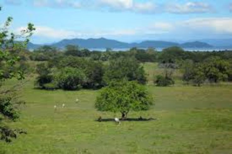 The Nicoya Peninsula Trip Packages