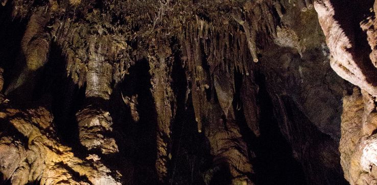Nombre de Dios Cave Trip Packages