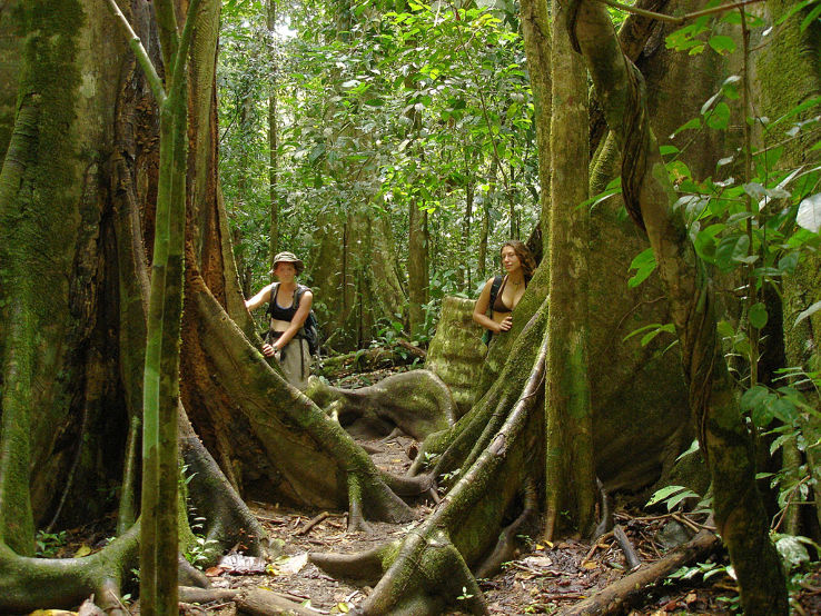 Corcovado National Park Trip Packages