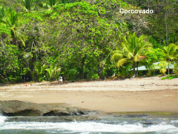 Corcovado National Park Trip Packages