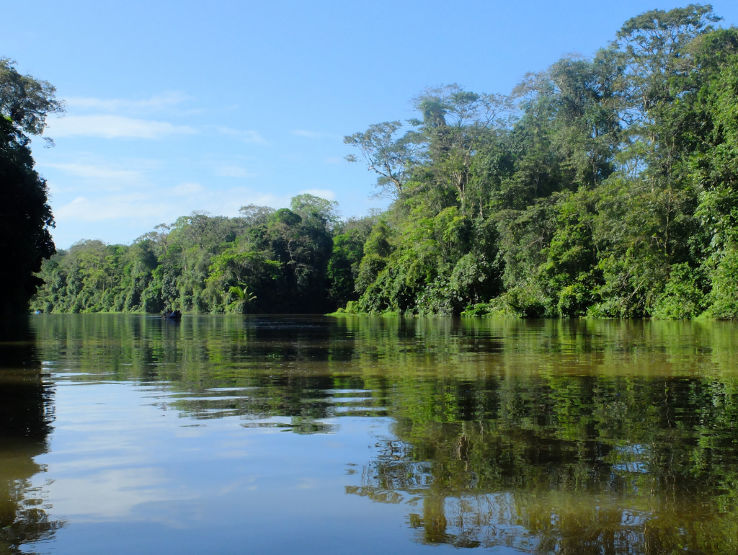 Tortuguero National Park Trip Packages