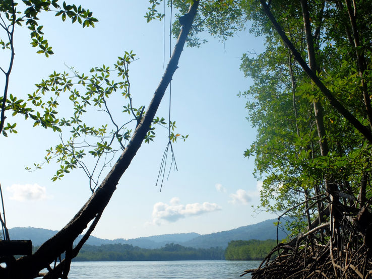 Tortuguero National Park Trip Packages