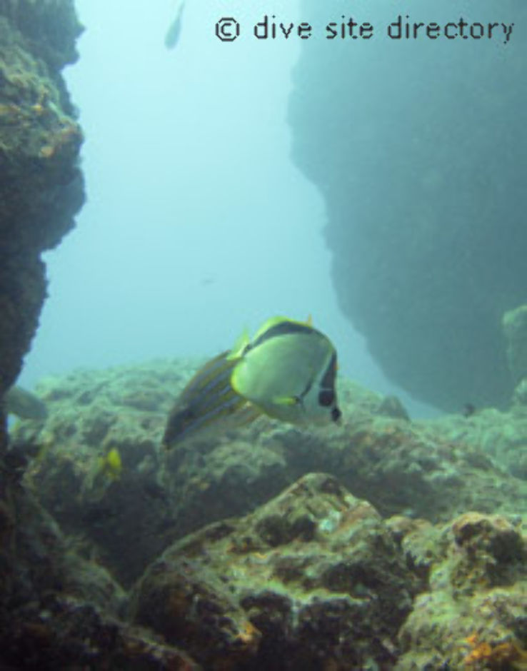 Cueva del Tiburon Trip Packages