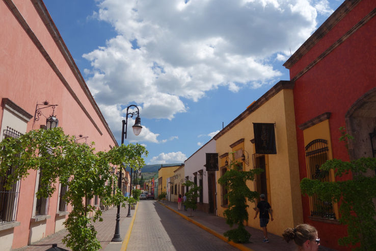 The Magical Town of Tequila  Trip Packages