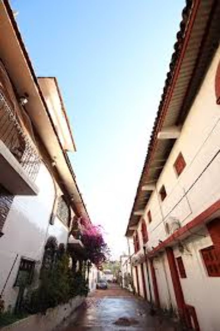 The Magical Town of Tequila  Trip Packages