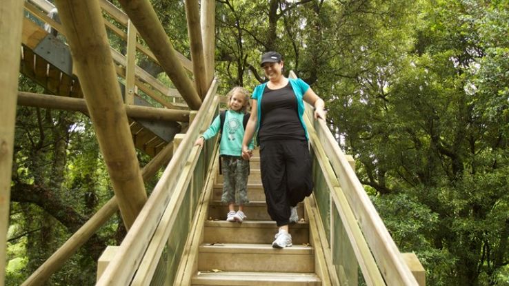 Sanctuary Mountain Maungatautari Trip Packages