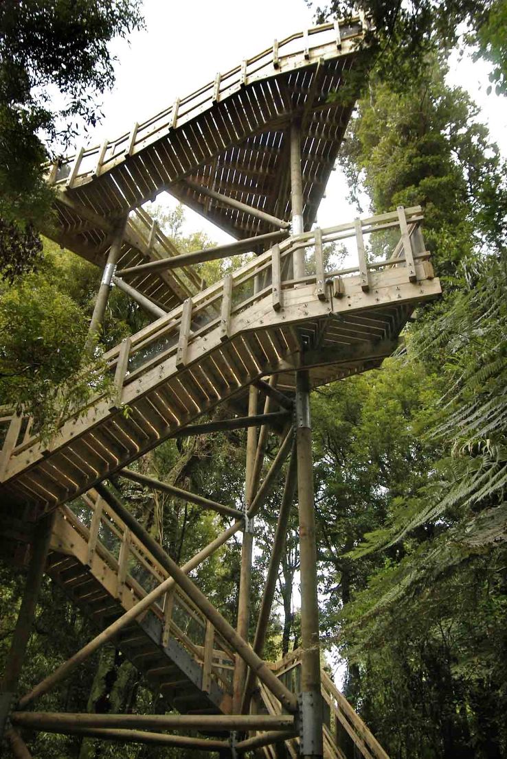 Sanctuary Mountain Maungatautari Trip Packages