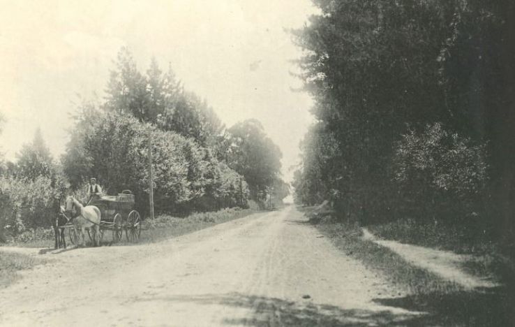 Cambridge Museum  Trip Packages