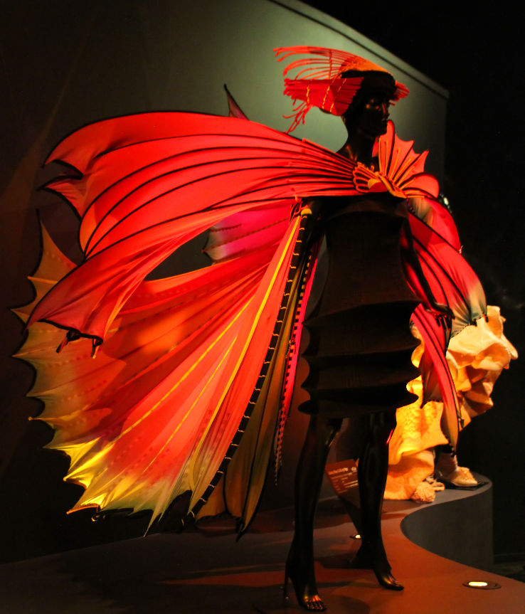 World of Wearable Art & Classic Cars  Trip Packages