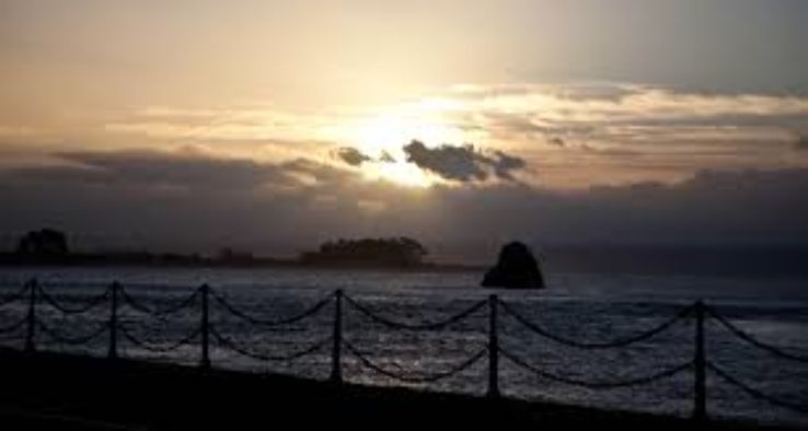 Tahunanui Beach Trip Packages