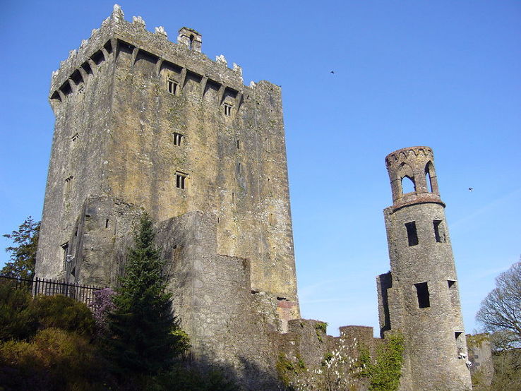  Blarney Castle Trip Packages