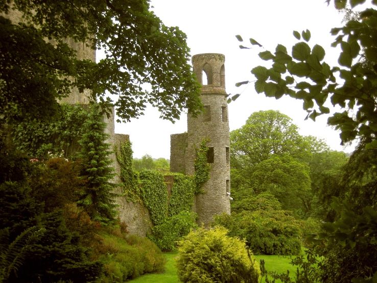  Blarney Castle Trip Packages