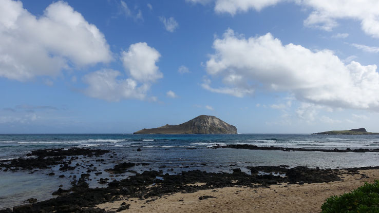 Rabbit Island Trip Packages