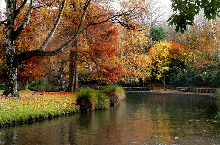 Hagley Park Trip Packages