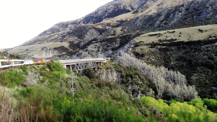 TranzAlpine Train Trip Packages