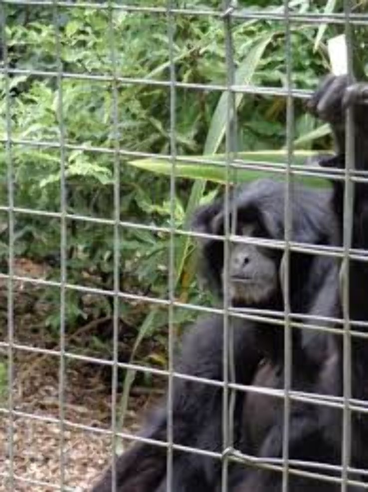 Willowbank Wildlife Reserve Trip Packages