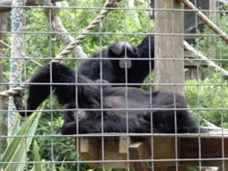 Willowbank Wildlife Reserve Trip Packages