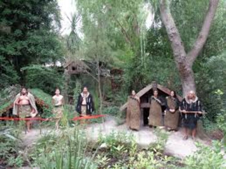 Willowbank Wildlife Reserve Trip Packages