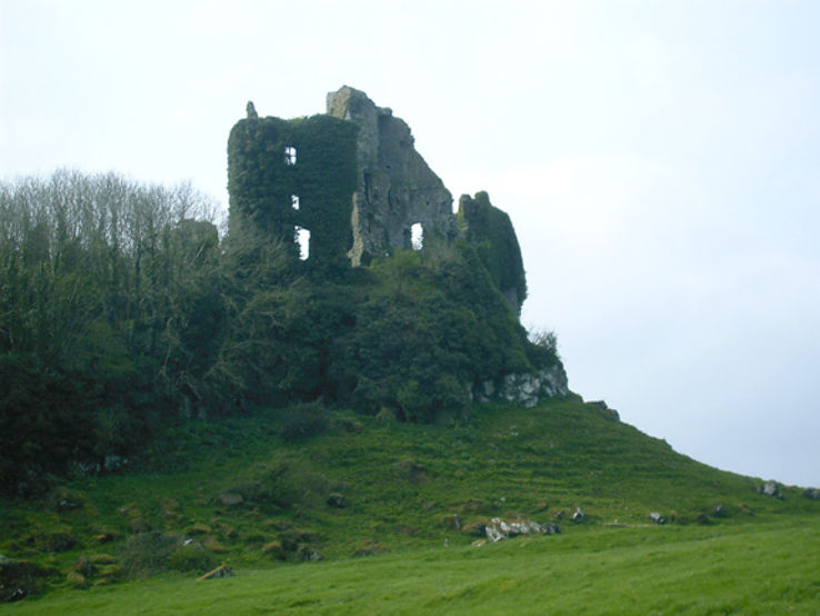 Carrigogunnell Castle Trip Packages