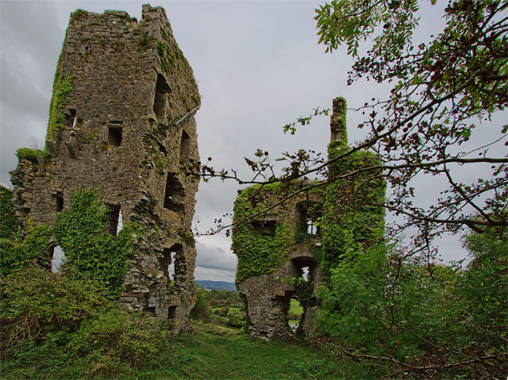 Carrigogunnell Castle Trip Packages