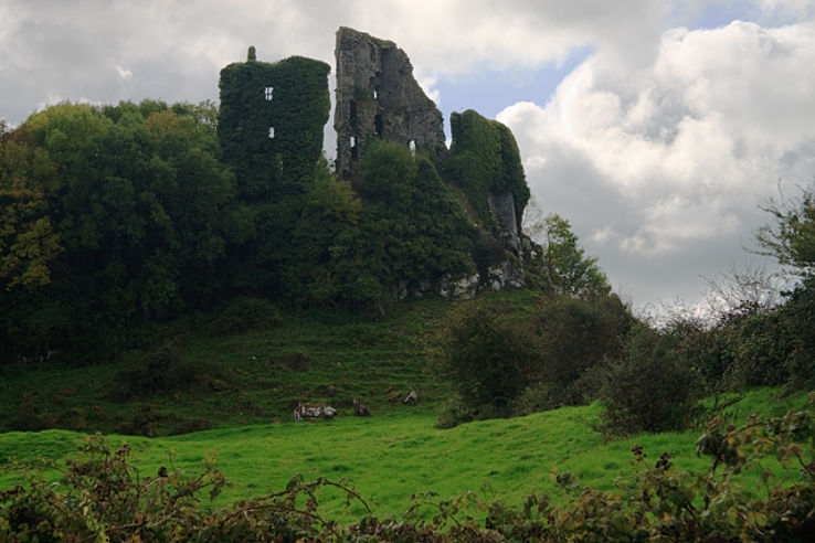 Carrigogunnell Castle Trip Packages