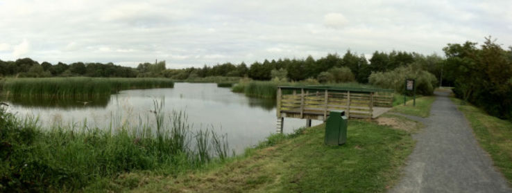 Westfields Wetlands Limerick Trip Packages