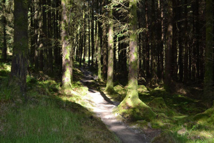 Ballyhoura Mountains Trip Packages