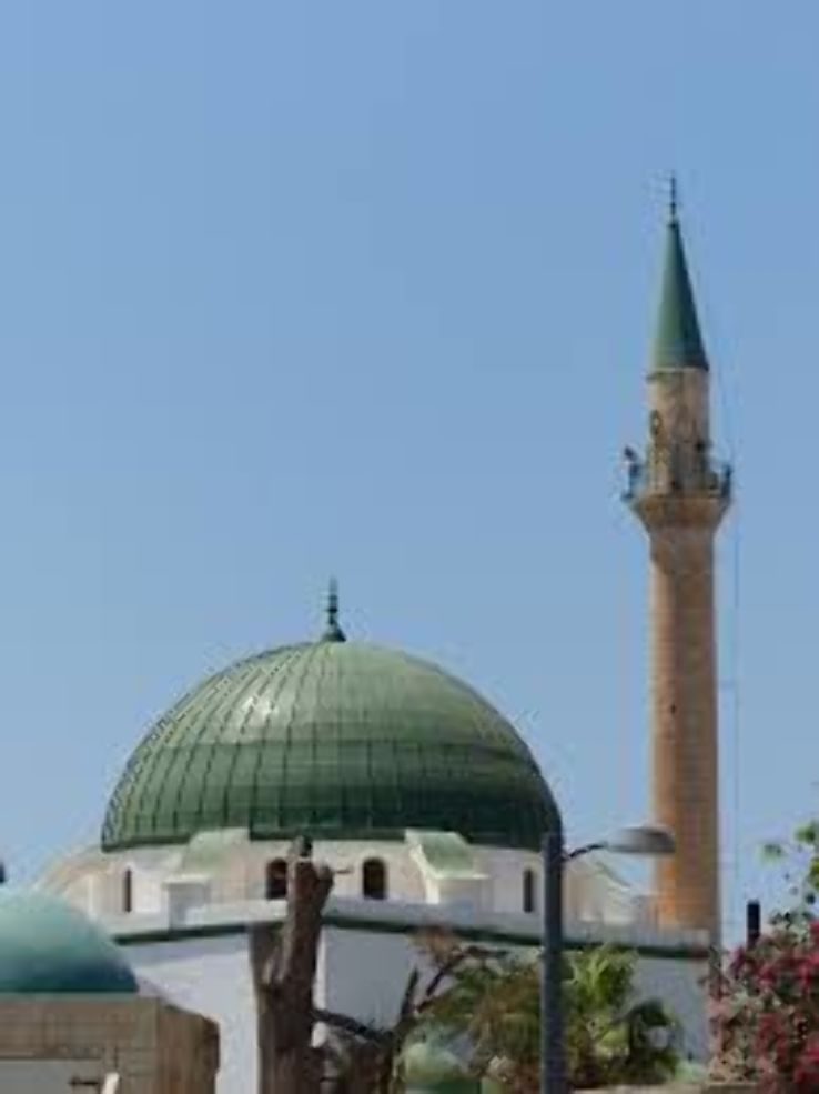 Al Jazzar Mosque Trip Packages