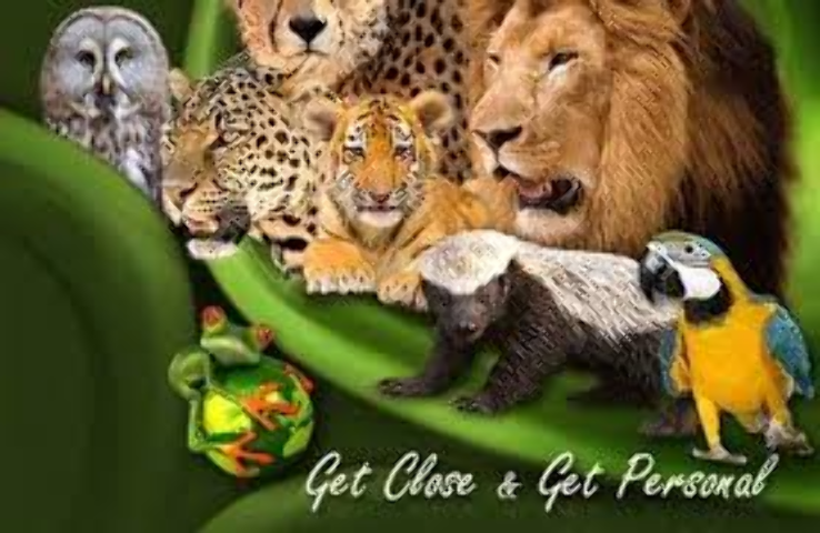 Lory Park Zoo Trip Packages