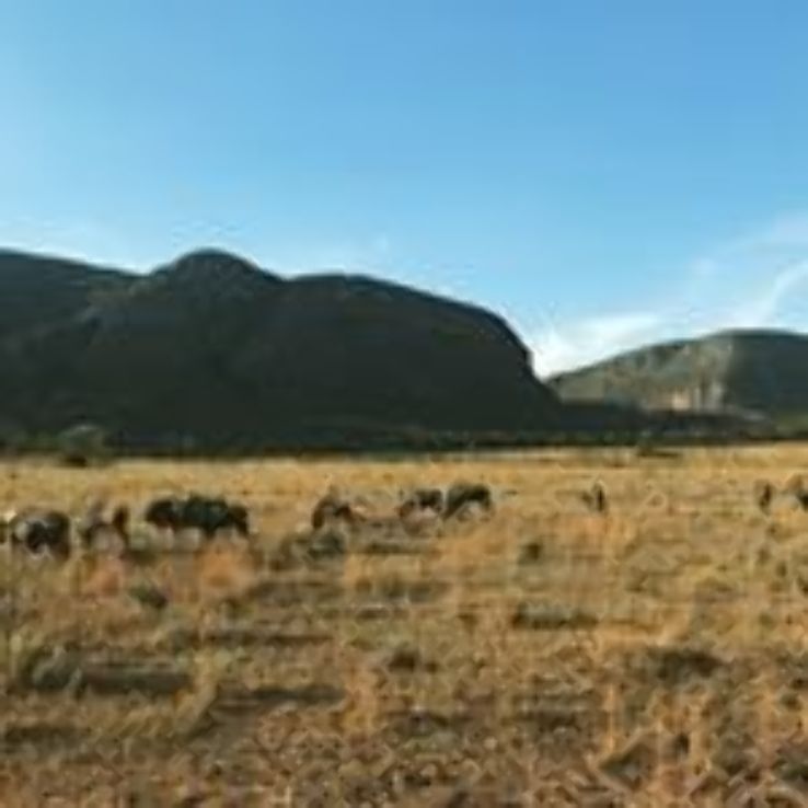 The Safari Index Trip Packages