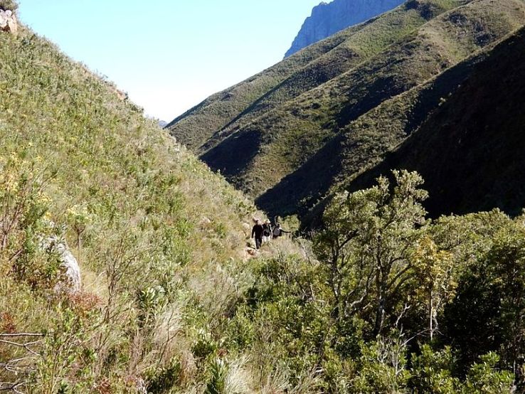 Jonkershoek Nature Reserve Trip Packages