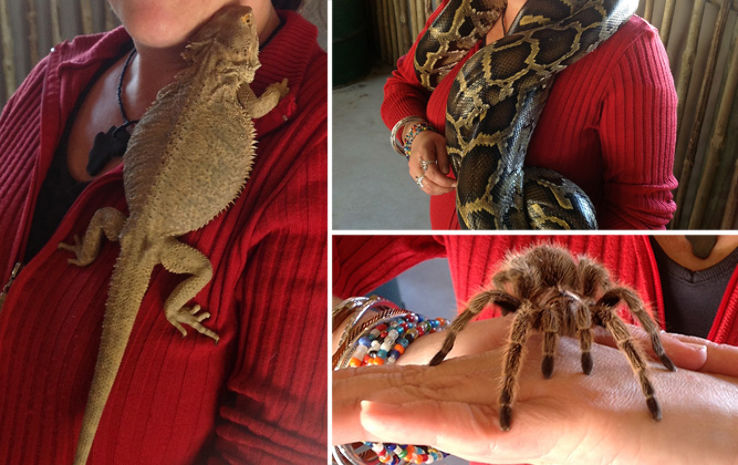 Giraffe House Wildlife Awareness Centre Trip Packages