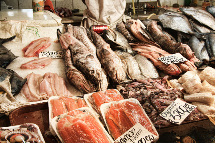 Fish and Seafood Trip Packages Fish and Seafood Trip Packages