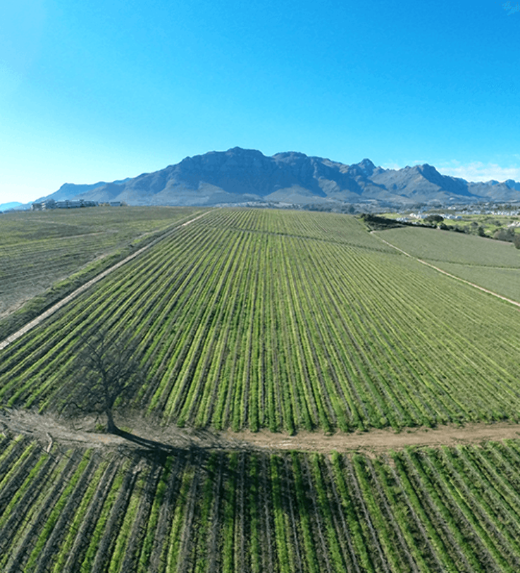 Kleine Zalze Wine Estate Trip Packages