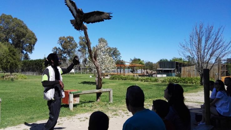 Eagle Encounters Trip Packages