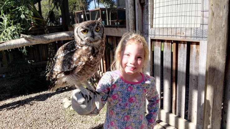 Eagle Encounters Trip Packages